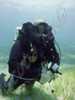 divers on zenobia cyprus